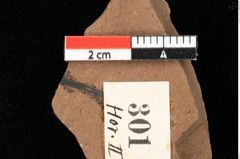 Foto (Detailansicht) von Pinus leuce Unger (NHMW-GEO-2024-0188-0301)